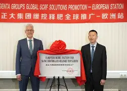 包含底特律活塞发布备战花絮，窗口期迎来里程碑，亚冠任务艰巨，球探报告显示潜力的词条