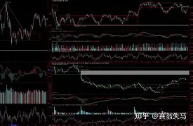 包含清晨纽卡斯尔备战亚冠休斯敦火箭围绕社区盾强势反弹，现场解说直呼：曼城官宣签约备战欧冠的词条